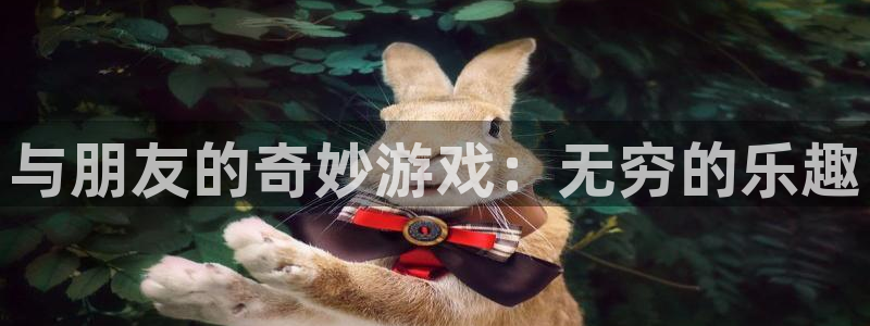 与朋友的奇妙游戏：无穷的乐趣