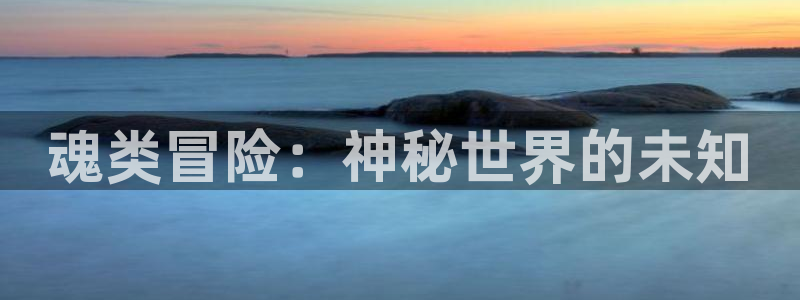 魂类冒险：神秘世界的未知
