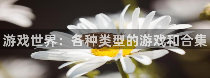 游戏世界：各种类型的游戏和合集
