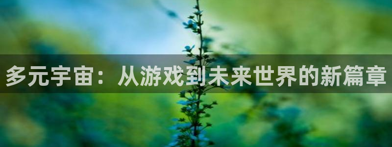 多元宇宙：从游戏到未来世界的新篇章