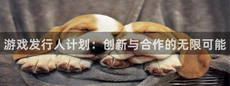 游戏发行人计划：创新与合作的无限可能