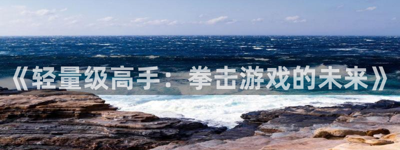 欧陆娱乐平台有哪些游戏：《轻量级高手：拳击游戏的未来》