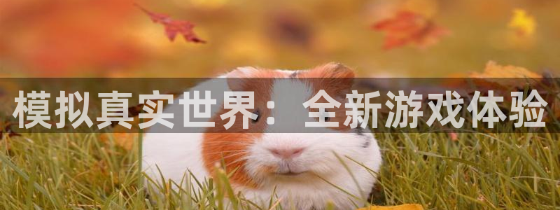 欧陆娱乐平台测速怎么样：模拟真实世界：全新游戏体验