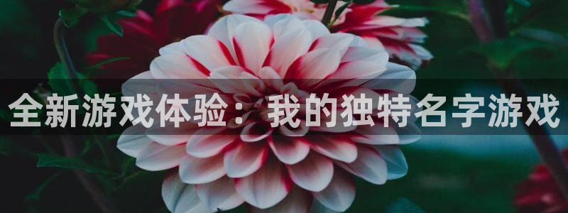 欧陆娱乐产品介绍图片：全新游戏体验：我的独特名字游戏