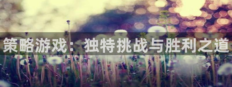 欧陆娱乐平台优势注册平台：策略游戏：独特挑战与胜利之道