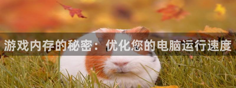 欧陆娱乐游戏新闻：游戏内存的秘密：优化您的电脑运行速度