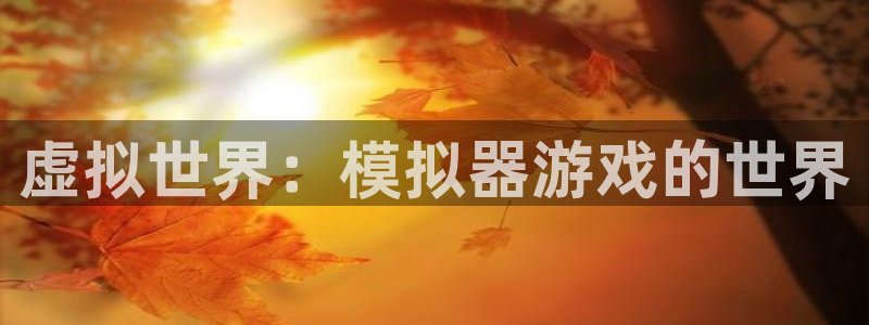 欧陆娱乐登录平台有哪些：虚拟世界：模拟器游戏的世界