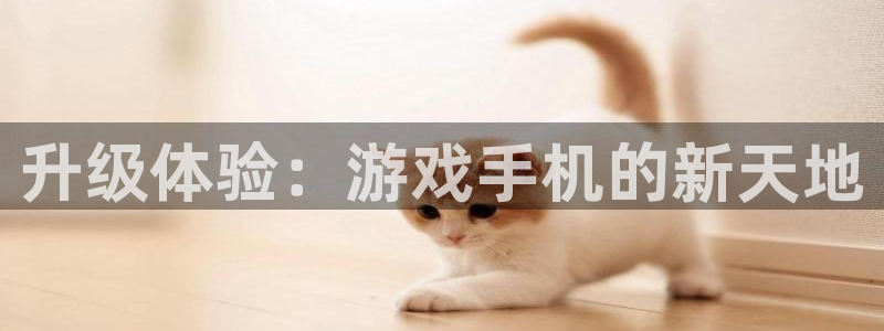 欧陆娱乐平台咋样赚钱
