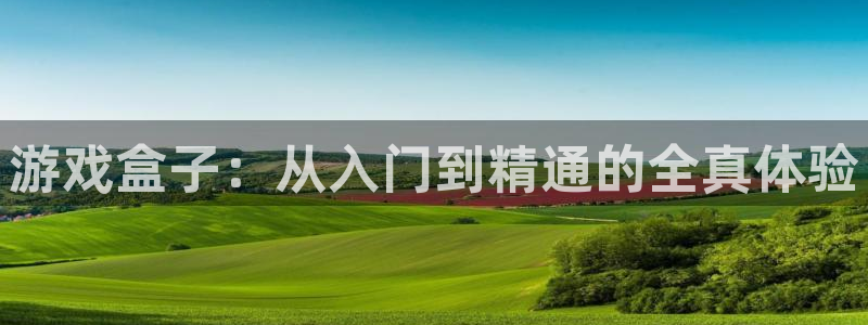 欧陆娱乐是正规平台吗安全吗：游戏盒子：从入门到精通的全真体验